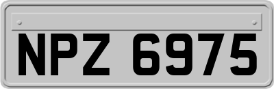 NPZ6975