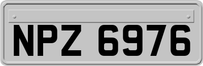 NPZ6976