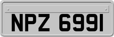 NPZ6991