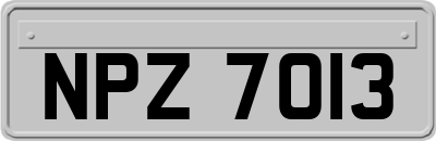 NPZ7013