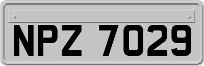NPZ7029