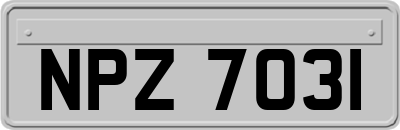 NPZ7031