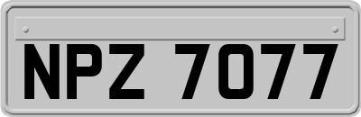 NPZ7077
