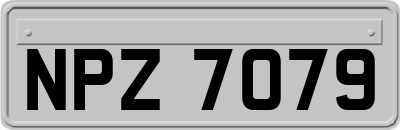 NPZ7079