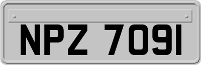 NPZ7091