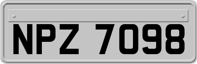 NPZ7098