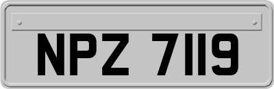 NPZ7119