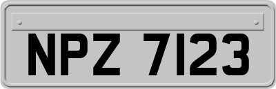 NPZ7123