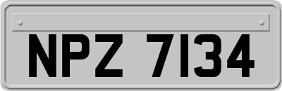 NPZ7134