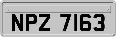 NPZ7163