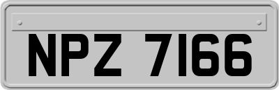 NPZ7166