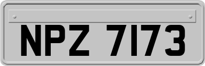 NPZ7173