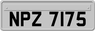 NPZ7175