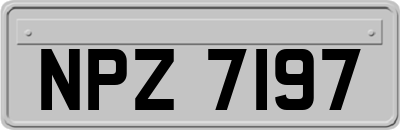 NPZ7197