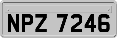 NPZ7246