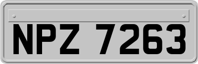 NPZ7263