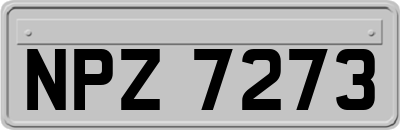 NPZ7273