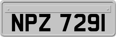 NPZ7291