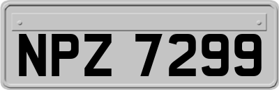 NPZ7299