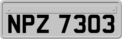 NPZ7303