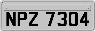 NPZ7304