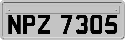 NPZ7305