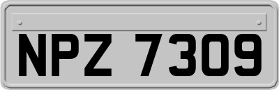 NPZ7309