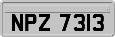 NPZ7313