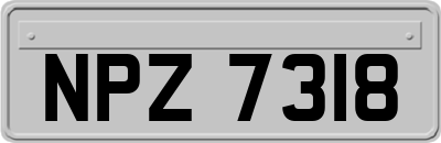 NPZ7318