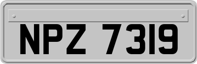 NPZ7319