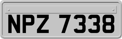 NPZ7338