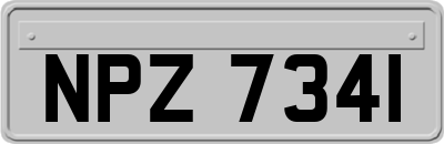 NPZ7341