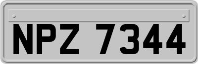 NPZ7344