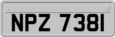 NPZ7381