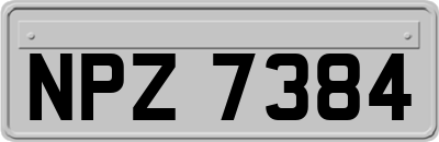 NPZ7384