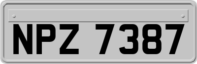NPZ7387