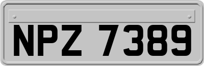 NPZ7389