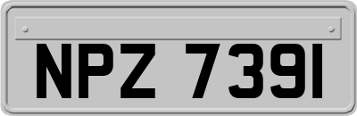 NPZ7391