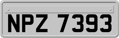 NPZ7393