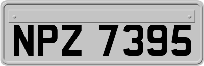 NPZ7395