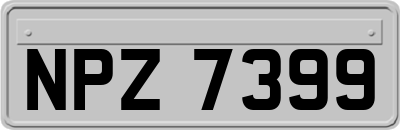 NPZ7399