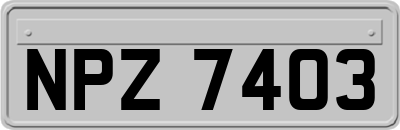 NPZ7403