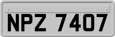 NPZ7407