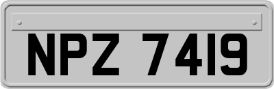 NPZ7419