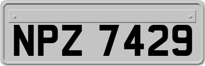 NPZ7429