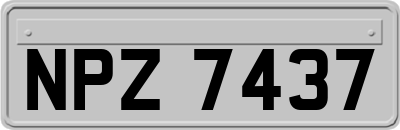 NPZ7437