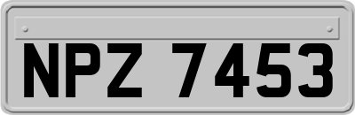 NPZ7453