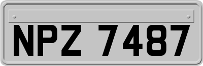 NPZ7487