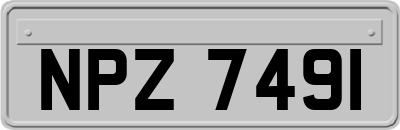 NPZ7491
