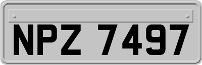 NPZ7497